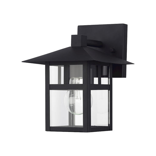 Livex Crestlake 1Lt Medium Outdoor Wall Lantern, Black/Clear Glass