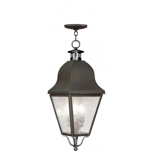 Livex Lighting Amwell Outdoor Chain Hang