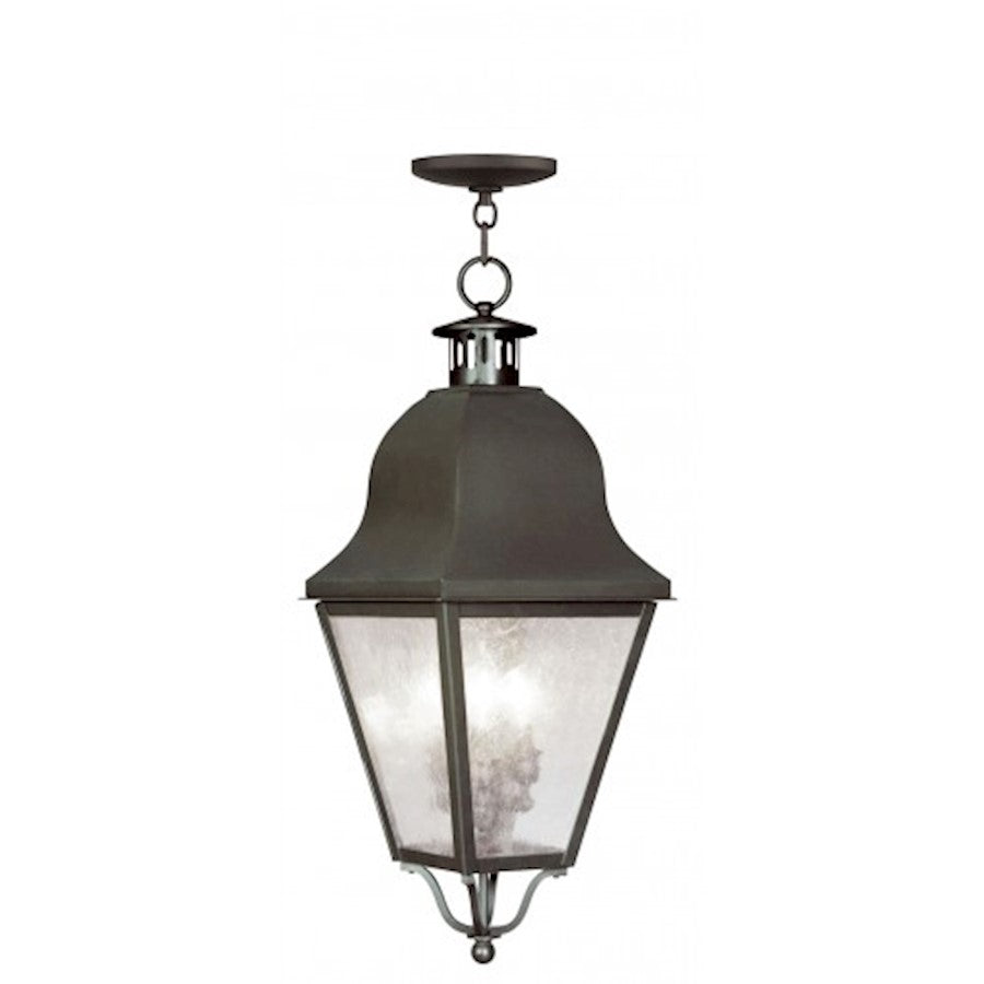 Livex Lighting Amwell Outdoor Chain Hang
