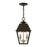 Livex Wentworth Outdoor Pendant Lantern