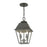 Livex Wentworth Outdoor Pendant Lantern