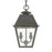 Livex Wentworth Outdoor Pendant Lantern