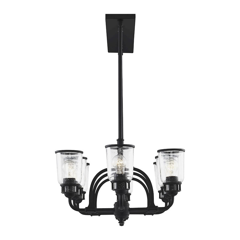 Livex Lawrenceville 8 Light Chandelier, Black/Hand Blown Clear Seeded