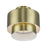 Livex Zolana 2Lt Medium Semi-Flush, Brass/Brass Steel/Shiny White