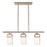 Livex Lighting Harding Linear Chandelier
