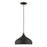 Livex Amador 1 Light Pendant