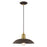 Livex Lighting Metal Shade 1 Light Mini Pendant