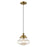 Livex Lighting Art Glass 1 Light Schoolhouse Mini Pendant