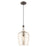 Livex Lighting Art Glass 1 Light Carafe Mini Pendant