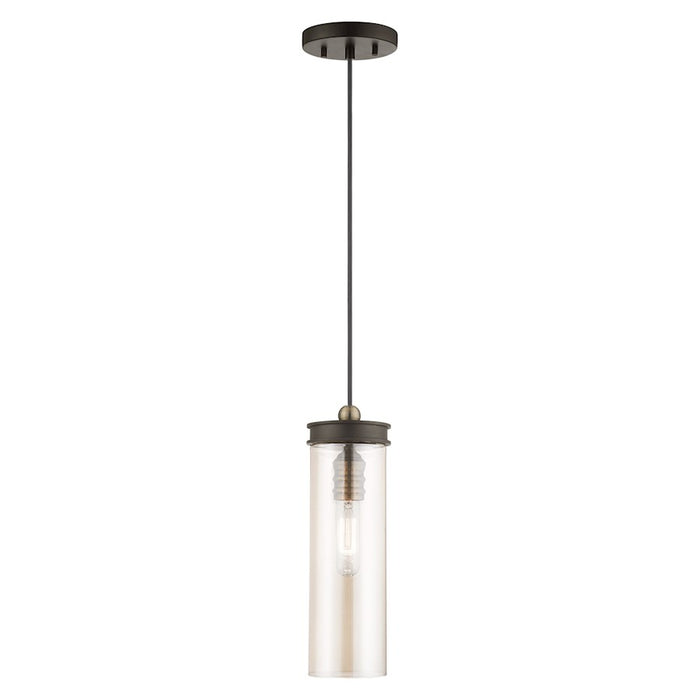 Livex Lighting Art Glass 1 Light Mini Pendant