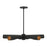 Livex Novato 5 Light Chandelier, Black