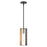 Livex Soma 1 Light Pendant