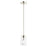 Livex Rotterdam 1 Light Pendant, Polished Nickel/Clear Crystals