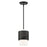 Livex Noria 1 Light Pendant