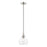 Livex Catania 1 Light Mini Pendant