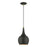 Livex Andes 1 Light Mini Pendant