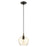 Livex Light Pendants 1 Light Pendant, Bronze/Brass/EP Champagne