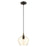 Livex Light Pendants 1 Light Pendant, Bronze/Brass/EP Champagne