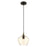 Livex Light Pendants 1 Light Pendant, Bronze/Brass/EP Champagne