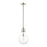Livex Light Pendants 1 Light Pendant, Brushed Nickel/Clear Glass