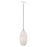 Livex Dublin 1 Light Pendant