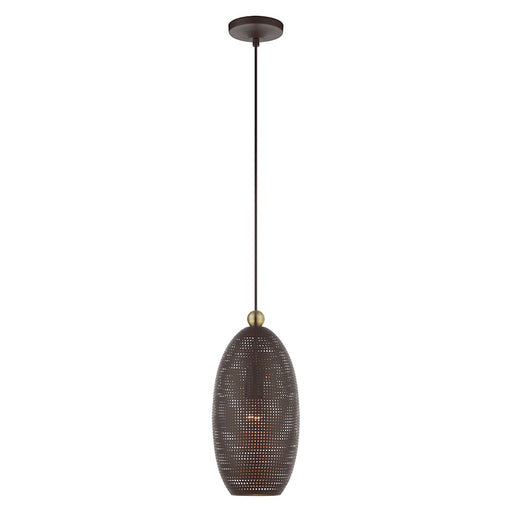 Livex Dublin 1 Light Pendant