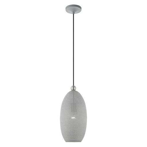 Livex Dublin 1 Light Pendant