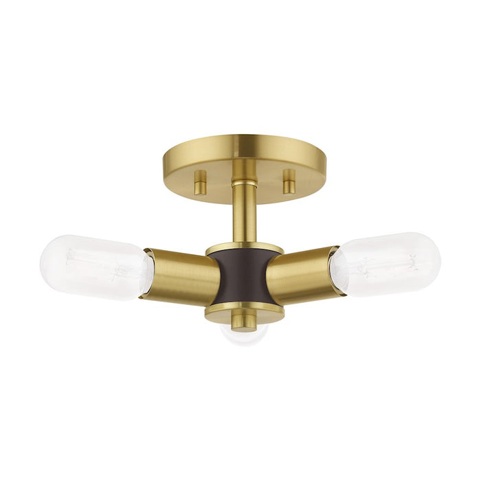 Livex Lighting Copenhagen 3 Light Ceiling Mount
