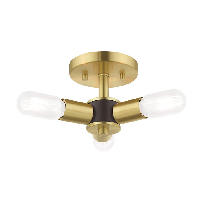 Livex Lighting Copenhagen 3 Light Ceiling Mount