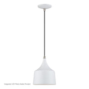 Livex Bolita Lt LED Pendant, White/Nickel/White Aluminum/White - 51472-03