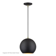 Livex Kuppola Lt Globe Pendant, Bronze/Brass/Bronze Aluminum/Gold - 60278-07