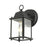 Livex Hamilton 1 Light Outdoor Mini Downlight Wall Lantern, Black