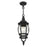 Livex Frontenac 1 Light Outdoor Pendant Lantern, Textured Black
