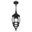 Livex Frontenac 1 Light Outdoor Pendant Lantern, Textured Black