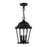 Livex Hamilton 3 Light Outdoor Pendant Lantern, Textured Black