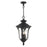 Livex Oxford 3 Light Outdoor Pendant Lantern