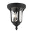 Livex Oxford 2 Light Outdoor Ceiling Mount, Textured Black