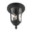 Livex Oxford 2 Light Outdoor Ceiling Mount, Textured Black
