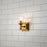 Lucas McKearn Vetiver 1 Light Bath/Vanity, Gold Leaf F1