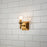 Lucas McKearn Vetiver 1 Light Bath/Vanity, Gold Leaf F2