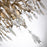 Lucas McKearn Flambeau 12Lt Chandelier, Silver/Glaze/Flower Inspired