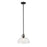 Lucas McKearn Hampton 1 Light Pendant, Graphite/Clear - PD-HAMPTON-P-GR