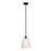 Lucas McKearn Windsor 1 Light Pendant, Black/Clear - PD-WINDSOR-P-BLK