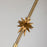Lucas McKearn Etoile 1 Light Pendant/Star, Aged Brass/Agb