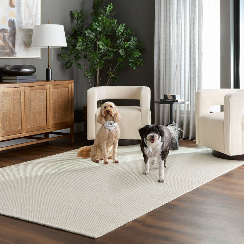 Lavin Rugs N3001 Brinda 2' x 3' Mono Rug, Ivory Silver/Neutral