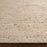 Lavin Rugs N3002 Brinda 2' x 3' Mono Rug, Beige Grey/Neutral
