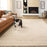Lavin Rugs N3007 Chara 7'10" x 10'10" Mono Rug, Ivory Beige/Neutral