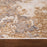 Lavin Rugs T9030 Terra 9'10" x 13'2" Marbled Rug, Cream Gold/Earth
