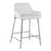LumiSource Daniella Counter Stool, Set of 2, Chrome/White