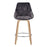 LumiSource Diana Counter Stool, Set of 2, Zebra/GYV/Chrome